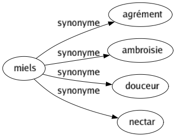 Synonyme de Miels : Agrément Ambroisie Douceur Nectar 