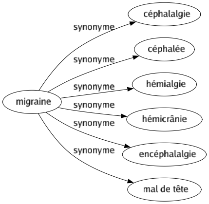 Synonyme de Migraine : Céphalalgie Céphalée Hémialgie Hémicrânie Encéphalalgie Mal de tête 