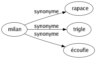 Synonyme de Milan : Rapace Trigle Écoufle 