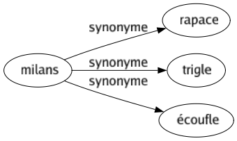 Synonyme de Milans : Rapace Trigle Écoufle 