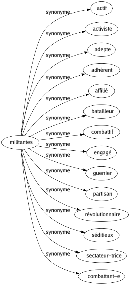 Synonyme de Militantes : Actif Activiste Adepte Adhèrent Affilié Batailleur Combattif Engagé Guerrier Partisan Révolutionnaire Séditieux Sectateur-trice Combattant-e 