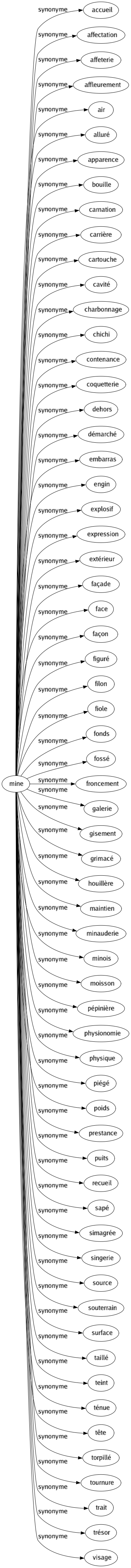 Synonyme de Mine : Accueil Affectation Affeterie Affleurement Air Alluré Apparence Bouille Carnation Carrière Cartouche Cavité Charbonnage Chichi Contenance Coquetterie Dehors Démarché Embarras Engin Explosif Expression Extérieur Façade Face Façon Figuré Filon Fiole Fonds Fossé Froncement Galerie Gisement Grimacé Houillère Maintien Minauderie Minois Moisson Pépinière Physionomie Physique Piégé Poids Prestance Puits Recueil Sapé Simagrée Singerie Source Souterrain Surface Taillé Teint Ténue Tête Torpillé Tournure Trait Trésor Visage 