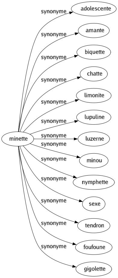 Synonyme de Minette : Adolescente Amante Biquette Chatte Limonite Lupuline Luzerne Minou Nymphette Sexe Tendron Foufoune Gigolette 