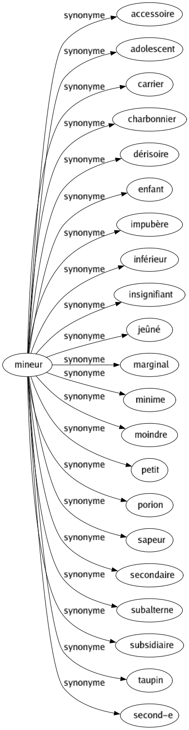 Synonyme de Mineur : Accessoire Adolescent Carrier Charbonnier Dérisoire Enfant Impubère Inférieur Insignifiant Jeûné Marginal Minime Moindre Petit Porion Sapeur Secondaire Subalterne Subsidiaire Taupin Second-e 