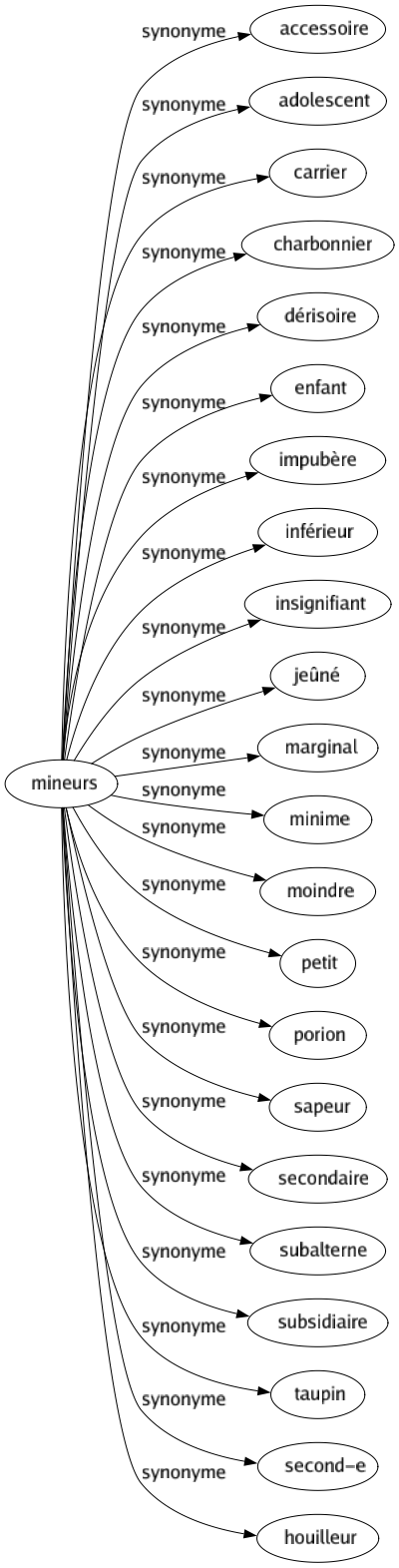 Synonyme de Mineurs : Accessoire Adolescent Carrier Charbonnier Dérisoire Enfant Impubère Inférieur Insignifiant Jeûné Marginal Minime Moindre Petit Porion Sapeur Secondaire Subalterne Subsidiaire Taupin Second-e Houilleur 