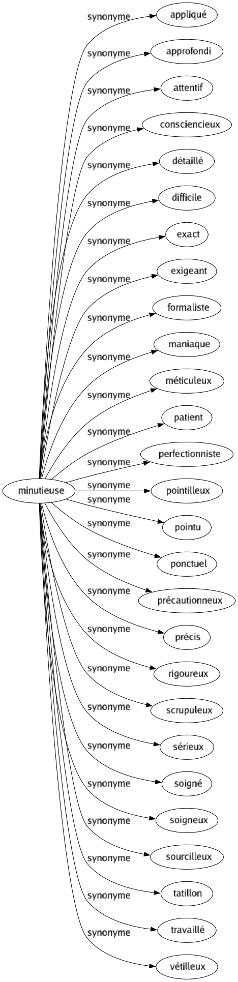 Synonyme de Minutieuse : Appliqué Approfondi Attentif Consciencieux Détaillé Difficile Exact Exigeant Formaliste Maniaque Méticuleux Patient Perfectionniste Pointilleux Pointu Ponctuel Précautionneux Précis Rigoureux Scrupuleux Sérieux Soigné Soigneux Sourcilleux Tatillon Travaillé Vétilleux 