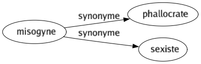 Synonyme de Misogyne : Phallocrate Sexiste 