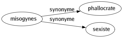 Synonyme de Misogynes : Phallocrate Sexiste 