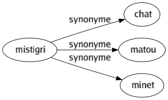 Synonyme de Mistigri : Chat Matou Minet 