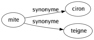 Synonyme de Mite : Ciron Teigne 