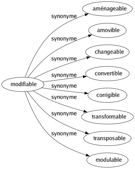 Synonyme de Modifiable : Aménageable Amovible Changeable Convertible Corrigible Transformable Transposable Modulable 