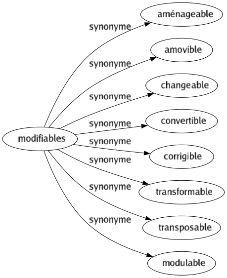 Synonyme de Modifiables : Aménageable Amovible Changeable Convertible Corrigible Transformable Transposable Modulable 