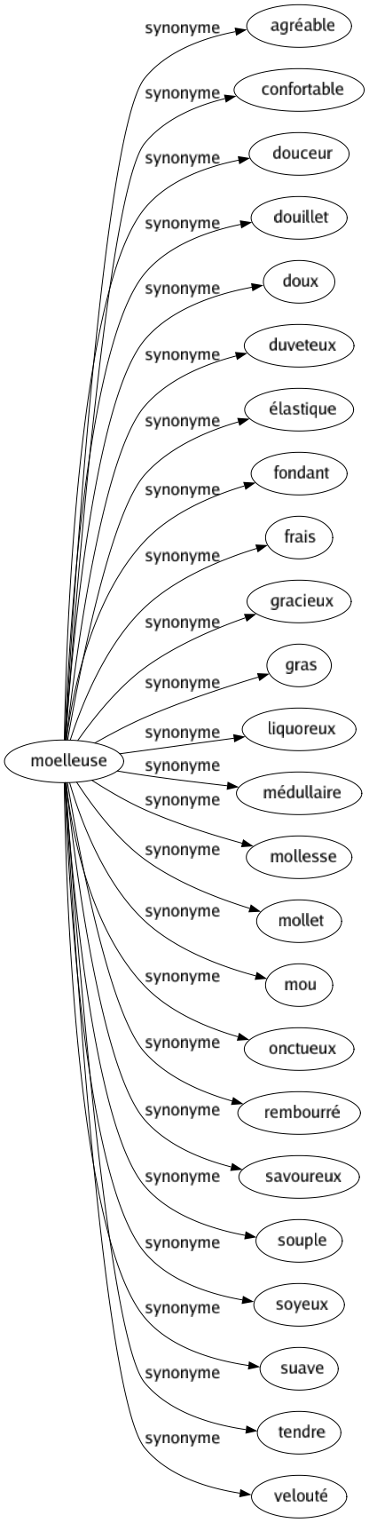 Synonyme de Moelleuse : Agréable Confortable Douceur Douillet Doux Duveteux Élastique Fondant Frais Gracieux Gras Liquoreux Médullaire Mollesse Mollet Mou Onctueux Rembourré Savoureux Souple Soyeux Suave Tendre Velouté 