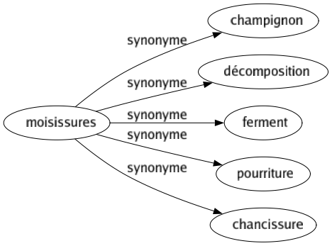 Synonyme de Moisissures : Champignon Décomposition Ferment Pourriture Chancissure 