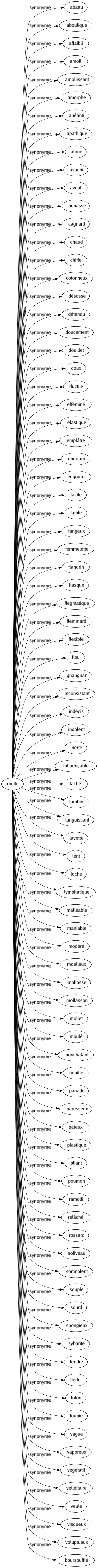 Synonyme de Molle : Abattu Aboulique Affaibli Amolli Amollissant Amorphe Anéanti Apathique Atone Avachi Aveuli Bonasse Cagnard Chaud Chiffe Cotonneux Désosse Détendu Doucement Douillet Doux Ductile Efféminé Élastique Emplâtre Endormi Engourdi Facile Faible Fangeux Femmelette Flandrin Flasque Flegmatique Flemmard Flexible Flou Gnangnan Inconsistant Indécis Indolent Inerte Influençable Lâché Lambin Languissant Lavette Lent Loche Lymphatique Malléable Maniable Modéré Moelleux Mollasse Mollasson Mollet Moulé Nonchalant Nouille Panade Paresseux Pâteux Plastiqué Pliant Poumon Ramolli Relâché Rossard Soliveau Somnolent Souple Sourd Spongieux Sybarite Tendre Tiède Toton Toupie Vague Vaporeux Végétatif Velléitaire Veule Visqueux Voluptueux Boursoufflé 