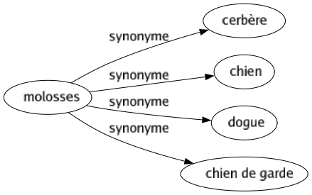 Synonyme de Molosses : Cerbère Chien Dogue Chien de garde 