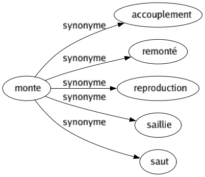 Synonyme de Monte : Accouplement Remonté Reproduction Saillie Saut 