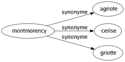 Synonyme de Montmorency : Agriote Cerise Griotte 