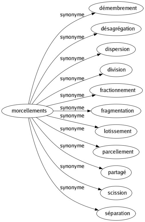 Synonyme de Morcellements : Démembrement Désagrégation Dispersion Division Fractionnement Fragmentation Lotissement Parcellement Partagé Scission Séparation 