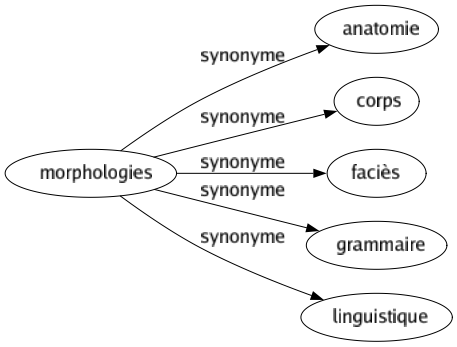Synonyme de Morphologies : Anatomie Corps Faciès Grammaire Linguistique 