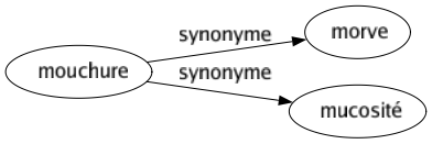 Synonyme de Mouchure : Morve Mucosité 