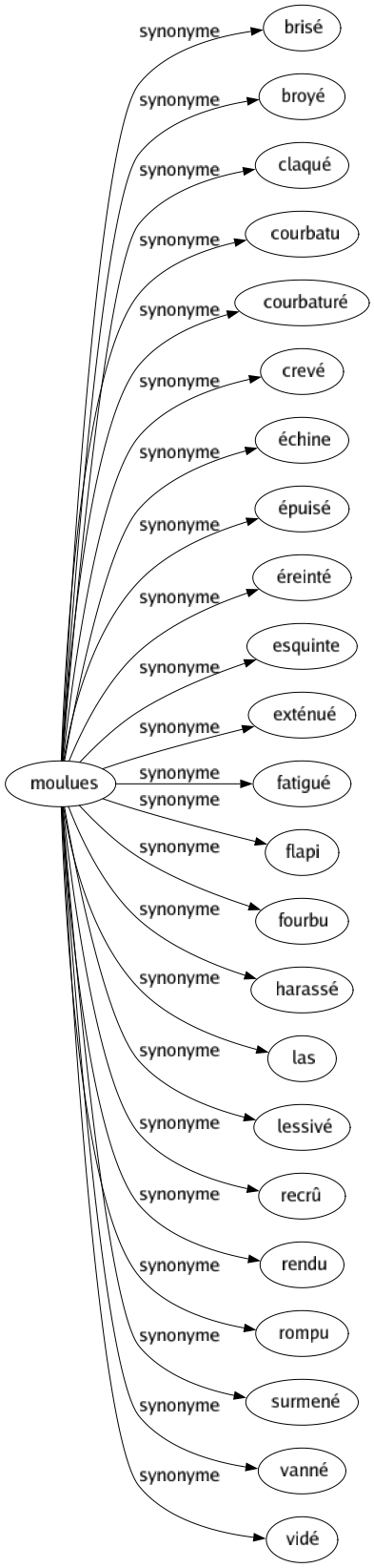 Synonyme de Moulues : Brisé Broyé Claqué Courbatu Courbaturé Crevé Échine Épuisé Éreinté Esquinte Exténué Fatigué Flapi Fourbu Harassé Las Lessivé Recrû Rendu Rompu Surmené Vanné Vidé 