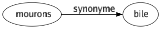 Synonyme de Mourons : Bile 