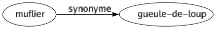 Synonyme de Muflier : Gueule-de-loup 