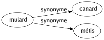 Synonyme de Mulard : Canard Métis 