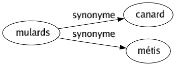 Synonyme de Mulards : Canard Métis 