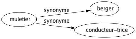 Synonyme de Muletier : Berger Conducteur-trice 