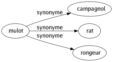 Synonyme de Mulot : Campagnol Rat Rongeur 