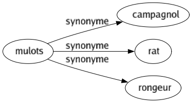 Synonyme de Mulots : Campagnol Rat Rongeur 