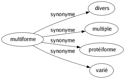 Synonyme de Multiforme : Divers Multiple Protéiforme Varié 
