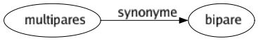 Synonyme de Multipares : Bipare 