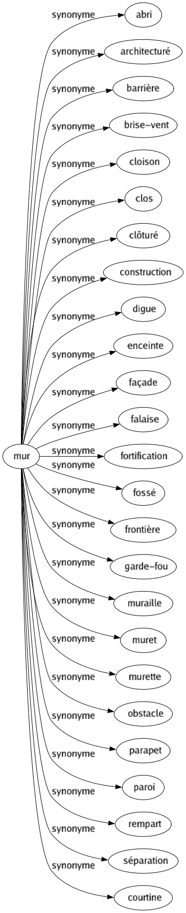 Synonyme de Mur : Abri Architecturé Barrière Brise-vent Cloison Clos Clôturé Construction Digue Enceinte Façade Falaise Fortification Fossé Frontière Garde-fou Muraille Muret Murette Obstacle Parapet Paroi Rempart Séparation Courtine 