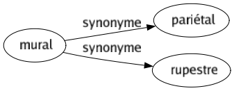 Synonyme de Mural : Pariétal Rupestre 