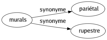 Synonyme de Murals : Pariétal Rupestre 