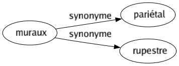 Synonyme de Muraux : Pariétal Rupestre 