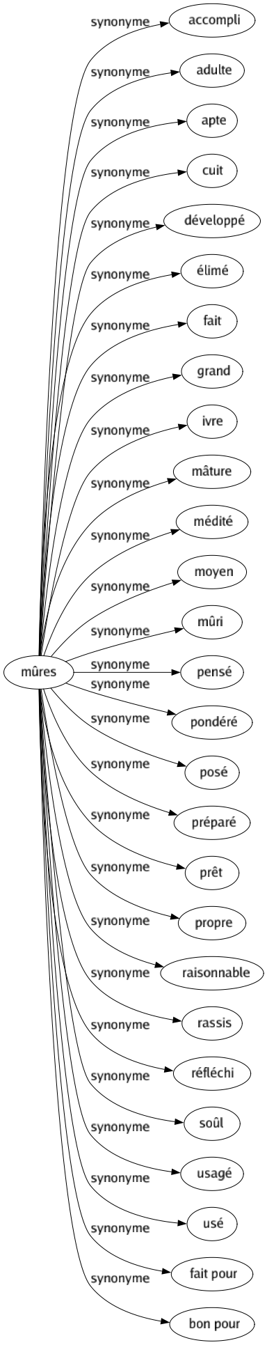 Synonyme de Mûres : Accompli Adulte Apte Cuit Développé Élimé Fait Grand Ivre Mâture Médité Moyen Mûri Pensé Pondéré Posé Préparé Prêt Propre Raisonnable Rassis Réfléchi Soûl Usagé Usé Fait pour Bon pour 