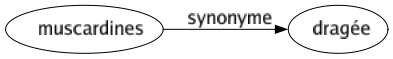 Synonyme de Muscardines : Dragée 