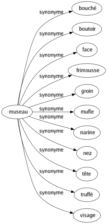 Synonyme de Museau : Bouché Boutoir Face Frimousse Groin Mufle Narine Nez Tête Truffé Visage 