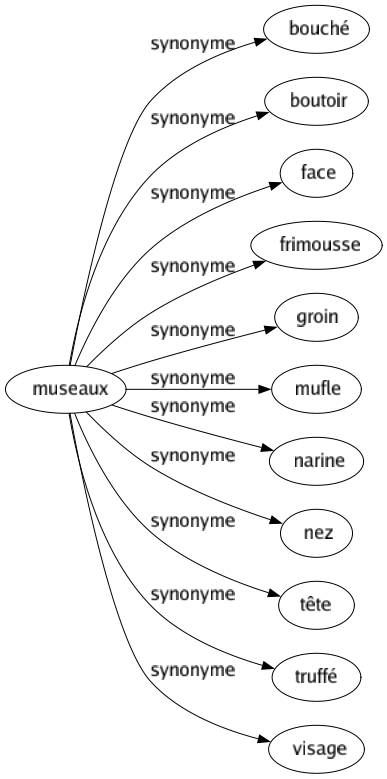 Synonyme de Museaux : Bouché Boutoir Face Frimousse Groin Mufle Narine Nez Tête Truffé Visage 