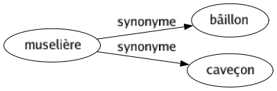 Synonyme de Muselière : Bâillon Caveçon 