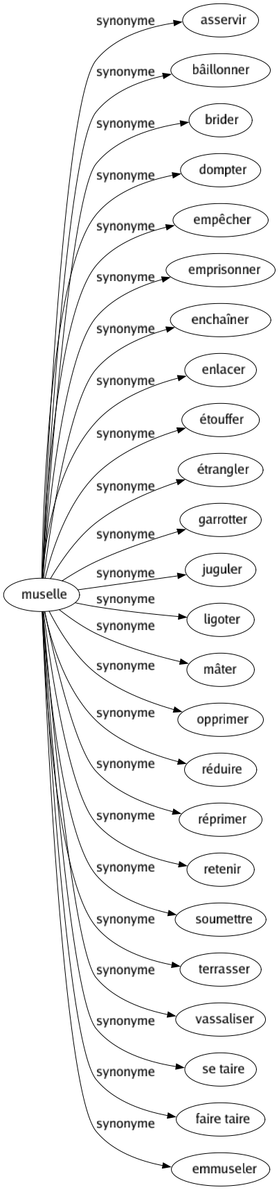 Synonyme de Muselle : Asservir Bâillonner Brider Dompter Empêcher Emprisonner Enchaîner Enlacer Étouffer Étrangler Garrotter Juguler Ligoter Mâter Opprimer Réduire Réprimer Retenir Soumettre Terrasser Vassaliser Se taire Faire taire Emmuseler 