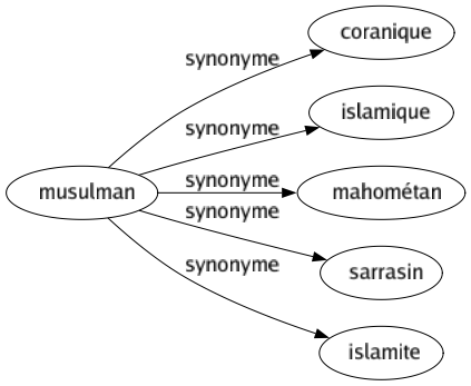 Synonyme de Musulman : Coranique Islamique Mahométan Sarrasin Islamite 