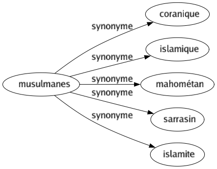 Synonyme de Musulmanes : Coranique Islamique Mahométan Sarrasin Islamite 