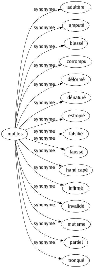 Synonyme de Mutiles : Adultère Amputé Blessé Corrompu Déformé Dénaturé Estropié Falsifié Faussé Handicapé Infirmé Invalidé Mutisme Partiel Tronqué 