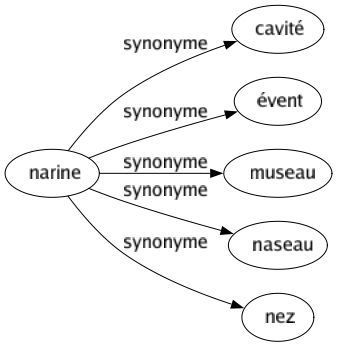Synonyme de Narine : Cavité Évent Museau Naseau Nez 