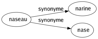 Synonyme de Naseau : Narine Nase 